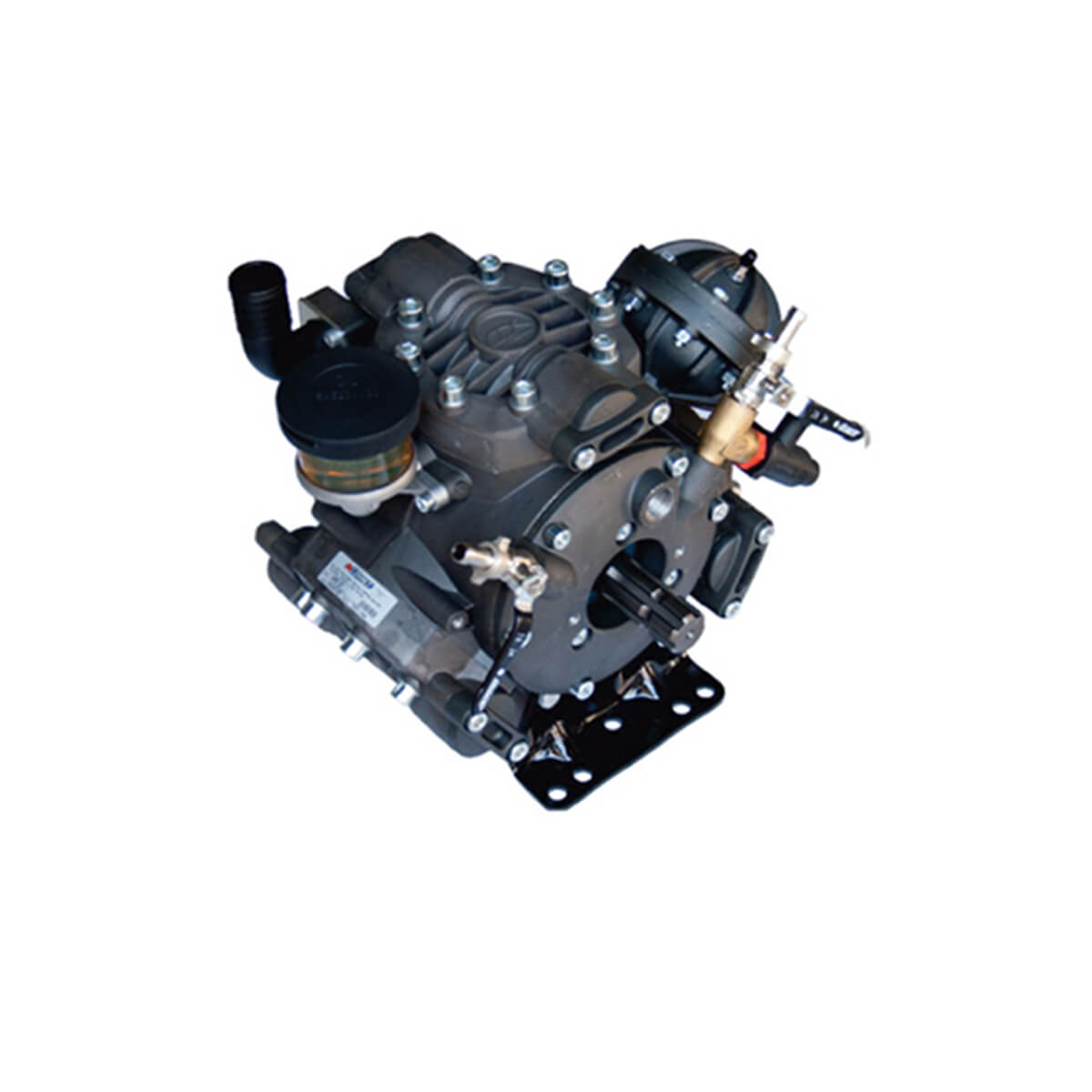 ANK-001 789